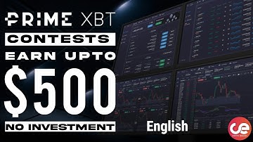 Prime XBT Contest Full Guide To 🔥 Earn Up to $500 Without Investment - English