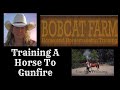 Training A Horse To  Gunfire