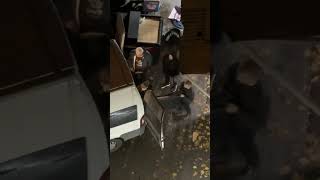 Дивент-Башарова Динара Аделевна нарушает закон РФ