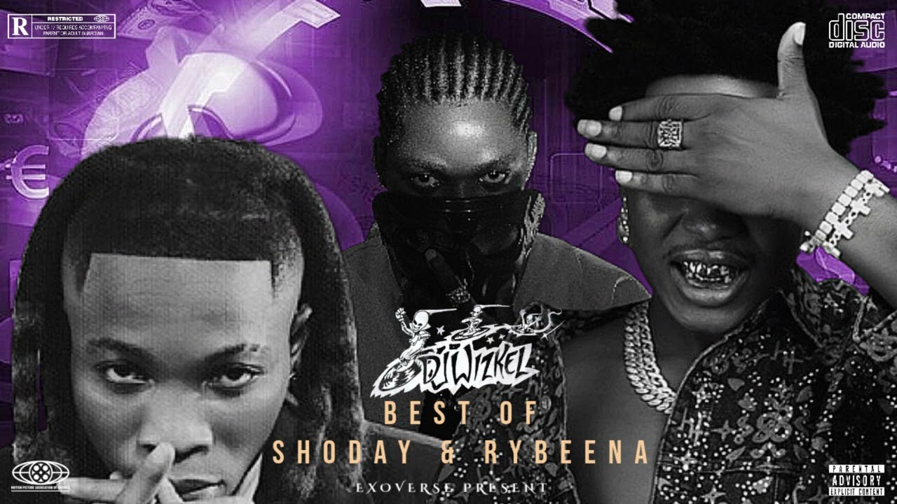 Best Of Shoday & Rybeena Mix | 1 Hour 7 Mins of Chill Songs | Afrobeats/Amapiano MUSIC PLAYLIST