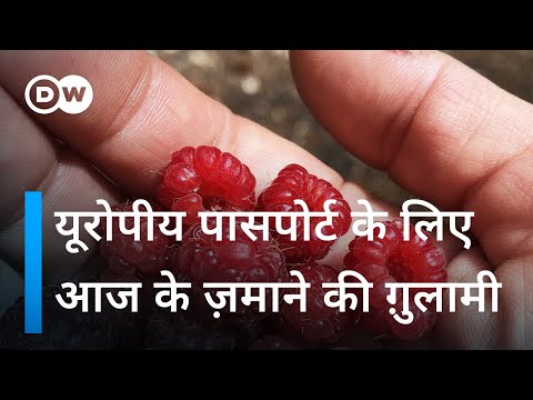 वीडियो: सिंट्रा, पुर्तगाल में करने के लिए शीर्ष चीजें