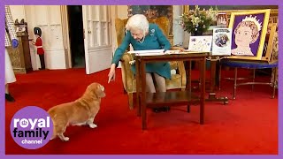 ADORABLE Moment Between Queen and her Pet Dorgi