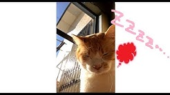 ながさん Youtube ながさん Youtube