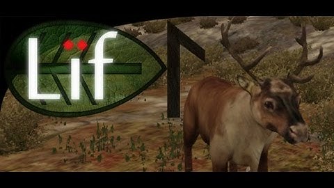 Lif Unity Game - Where to Find the Animal-Changing Totem Poles