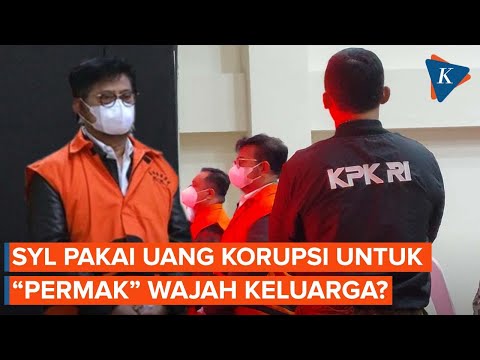 Syahrul Yasin Limpo Diduga Pakai Miliaran Uang Korupsi untuk Perawatan Wajah Keluarga