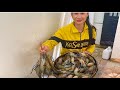 Unveiling the Secrets of Shrimp Crispy and Soup Cook Recipe