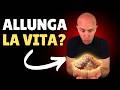 🛑 Non avrei MAI creduto che questo "VELENO" potesse ALLUNGARE la Vita! 🍄
