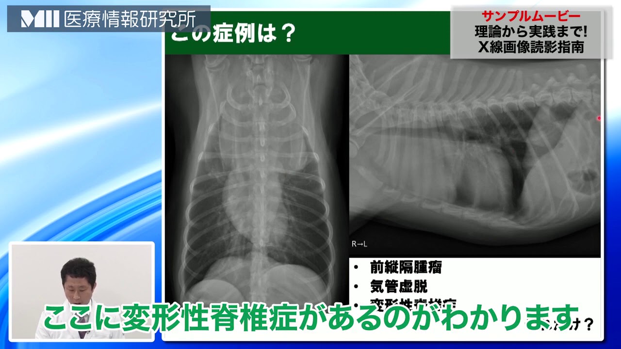 獣医】「理論から実践まで！X線画像読影指南 」講師:華園究 - YouTube