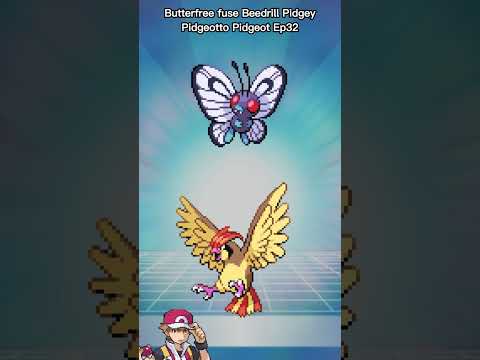 Butterfree fuse Beedrill