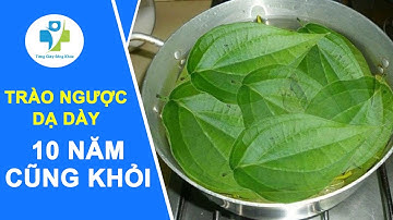 Vĩnh Biệt Trào Ngược Dạ Dày Sau 10 Năm Nhờ Cách Đơn Giản Này.  Từng Giây Sống Khỏe