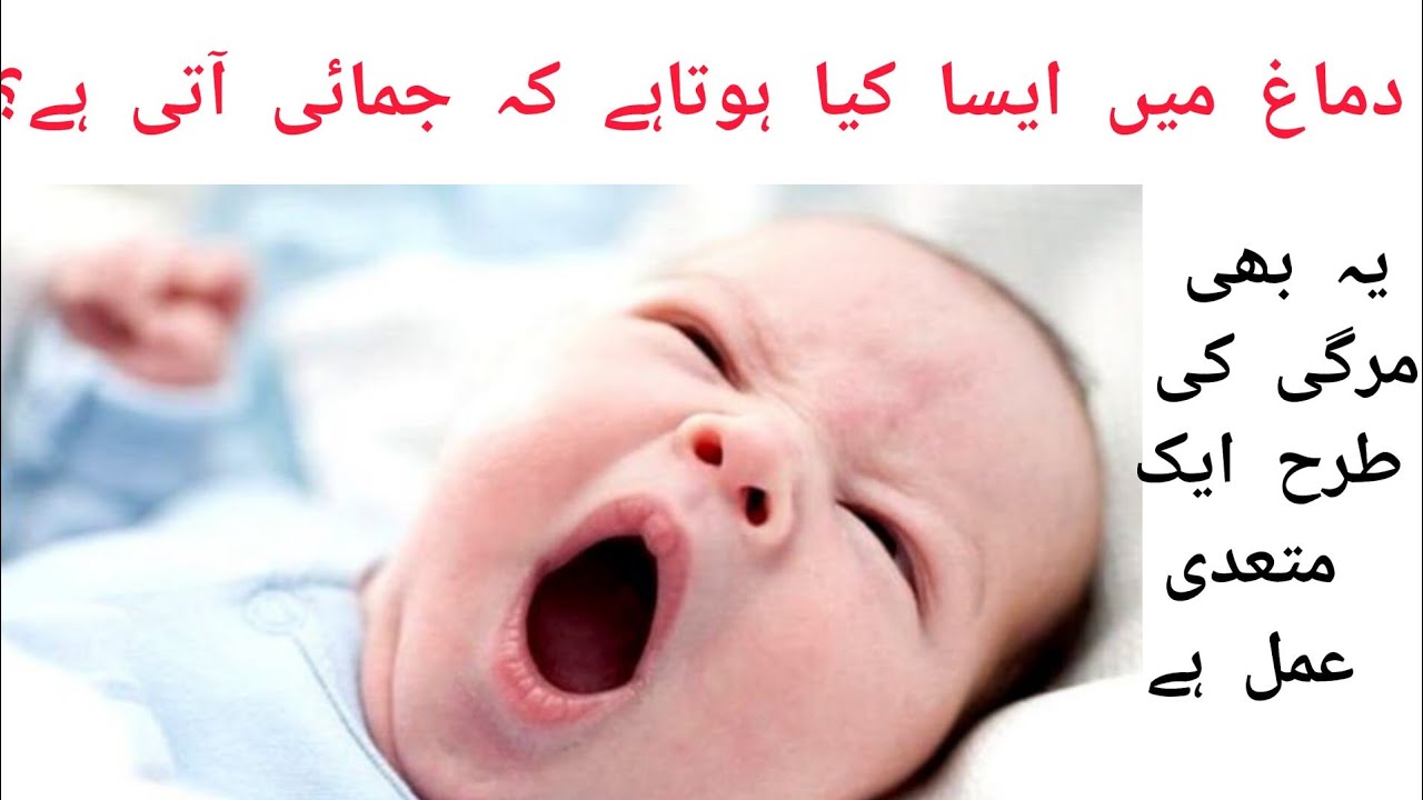 Causes of yawningجمائی کی وجوہاتWhy do we yawnRAAJ HEALTH AND