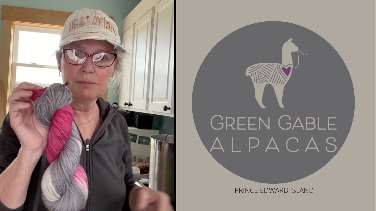 Green Gable Alpacas Live - Episode 2 - Hand-dyeing alpaca yarn