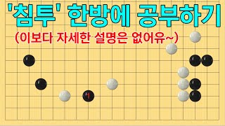 (바둑강좌) 침투 한방에 몰아보기 (1~3편) screenshot 1