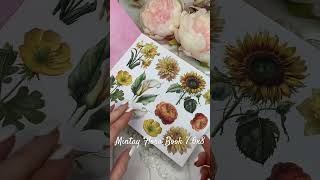 Mintay Flora Book 7 6x8