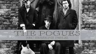 The Pogues - Wild Cats Of Kilkenny (alternate version)