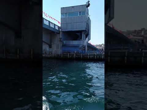 İstanbul güzelsin bee