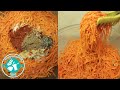 Գազարով կորեական աղցան | "Korean" carrot salad | Морковка по-корейски