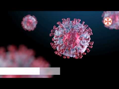 პროგრამა\"სიახლენი\" (1 ოქტომბერი, 2020 წ.)