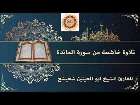 قراءة نادرة تاخذك لعالم اخر من سورة المائدة للقارئ الشيخ ابو العينين شعيشع