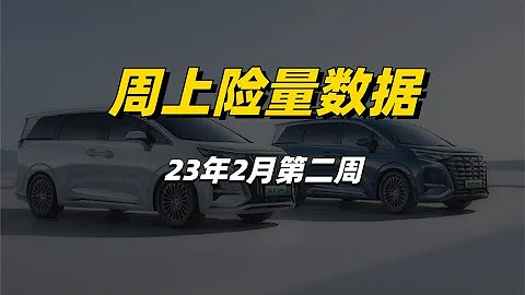 周上險量數據報告：比亞迪超越大眾，特斯拉下滑，理想領銜新勢力 - 天天要聞