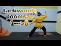 Taekwondo poomsae 1  8