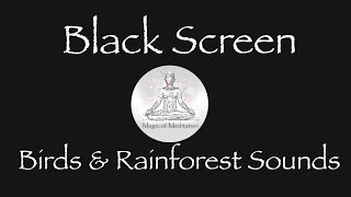 Birds &amp; Rainforest Sounds, Nature Recording, Cricket Sounds, Relax, Work, Study, ASMR, Black Screen