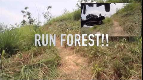 DYS Summer GH4/ SONY A7S DSLR 3 axis Handheld Brushless Test Video Running On The Mountain