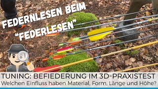 🏹 Pfeil-Tuning: Befiederung im 3D Turnier Praxis-Text - Einfluss von Material, Länge & Form