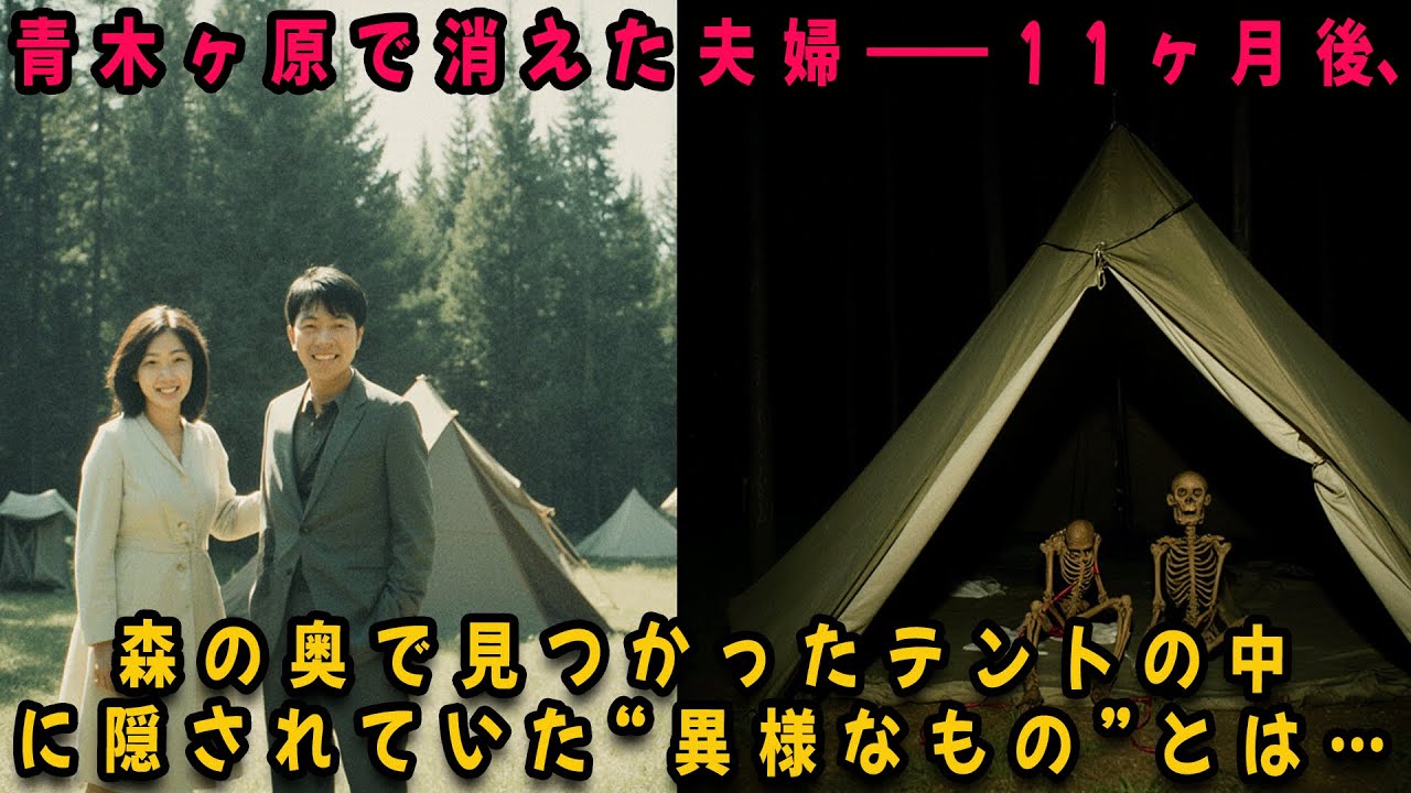 青木ヶ原で消えた夫婦――11ヶ月後、森の奥で見つかったテントの中に隠されていた“異様なもの”とは…