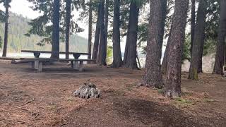Campsite #11 Review, 3RD BEST @ Link Creek Campground Suttle Lake Central Oregon 4K (RAW & UNEDITED)