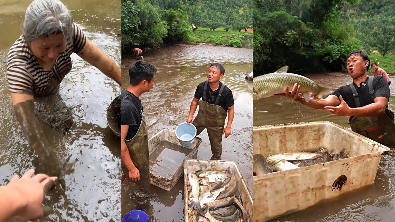 Chi 2.000 tệ mua lại ao cá trên núi hơn chục năm chưa từng cạn của ông chú