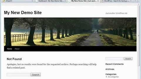 Wordpress Tutorial Video Excerpt Module 2-Video 8 - Plugins Intro and Install