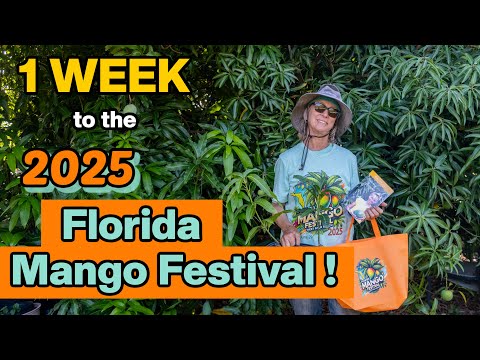 1 Week Until The 2025 Florida Mango Festival!