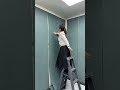 Interior wall renovation must have waterproof and moisture-proof self-adhesive wall stickers