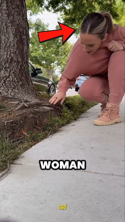 Building a Fairy House on the Sidewalk (@deannadunn)