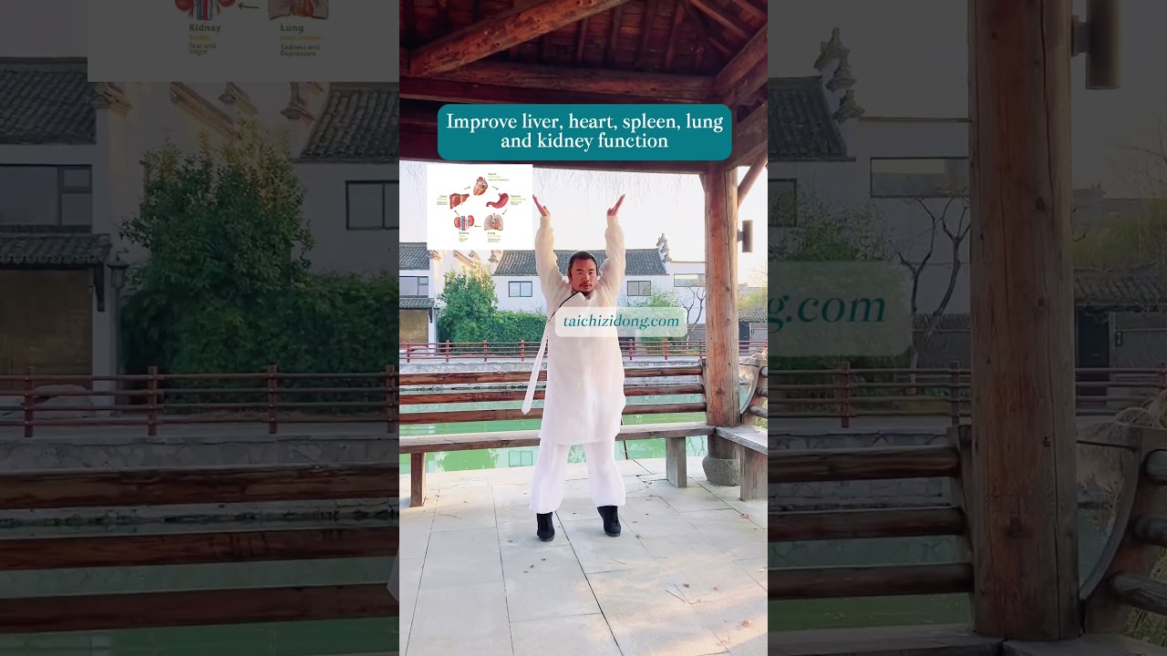 250144-One movement exercises five internal organs.