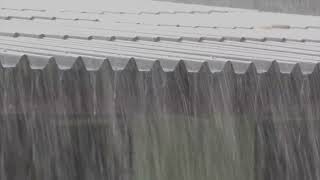10 Hours Heavy Rain on Tin Roof with Thunder | Rain Noise to Help You Sleep