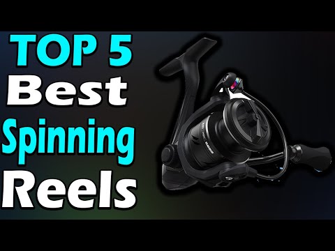 TOP 5 Best Spinning Reels Review 2024 
