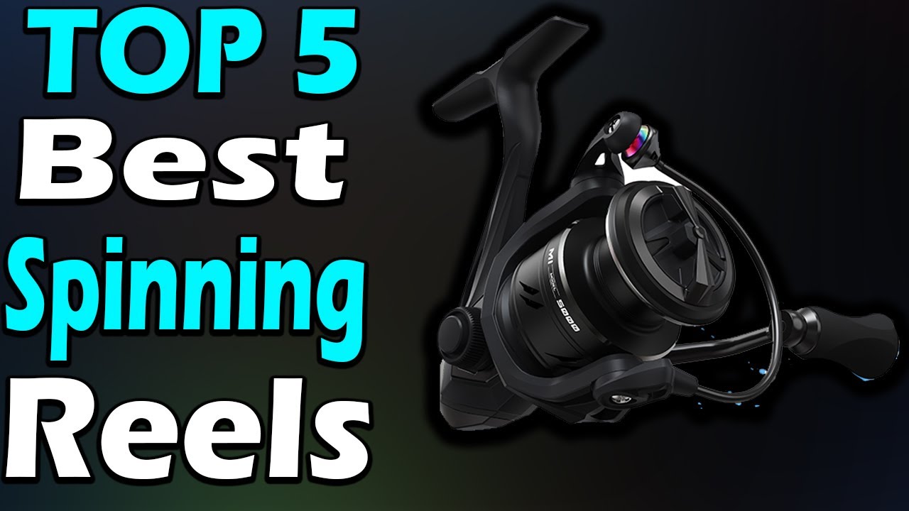 TOP 5 Best Spinning Reels Review 2024 - YouTube