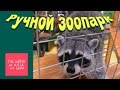 ВЛОГ Ручной зоопарк - Парк Хаус Самара