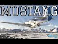 Top P-51D Mustang setup? Asobo, RandallSnow + Echo 19 over Norway Microsoft Flight Simulator 2024 4K