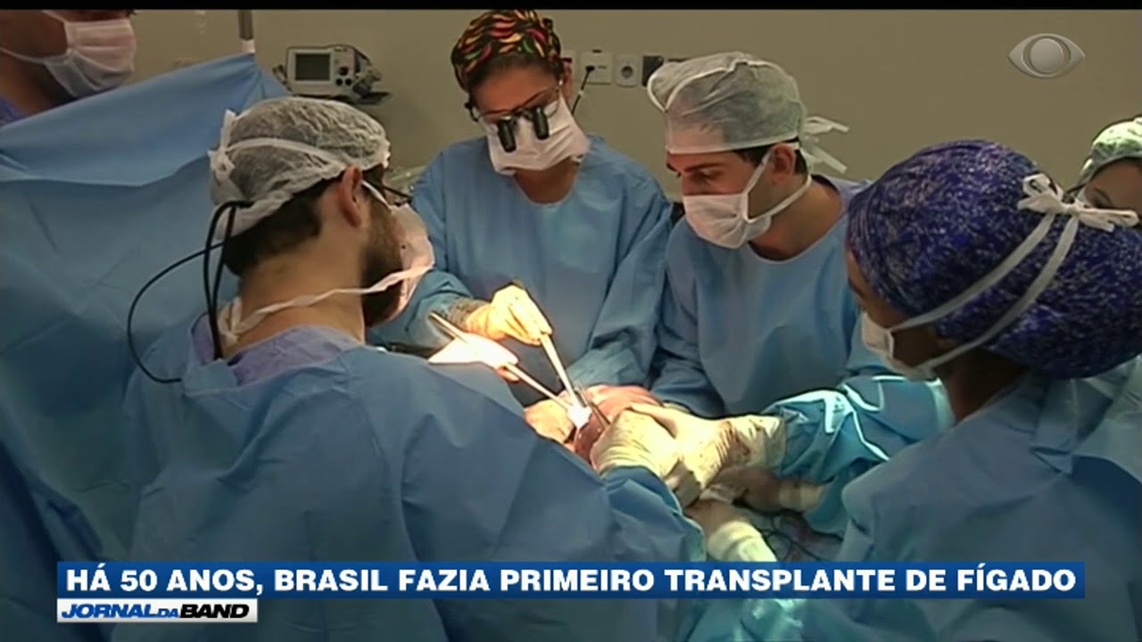 O Programa De Transplante No Brasil Se Destaca Pelo Crescimento