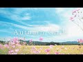 ［playlist］肌寒い秋の朝に聴きたい心地の良い洋楽｜朝BGM︱Background Music ︱chill playlist︱勉強・仕事にかけ流し︱60分耐久︱著作権フリー︱途中広告なし