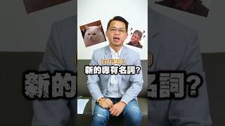 會計師自行調節 #桃園市議員 #劉仁照