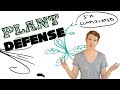 Plant Defense and Disease Resistance!