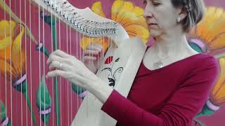 Arwen's Vigil-Piano Guys Harp Cover