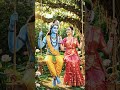 Chand Sa Sundar mukhda jinka #shortvideo #yrfmugic #song