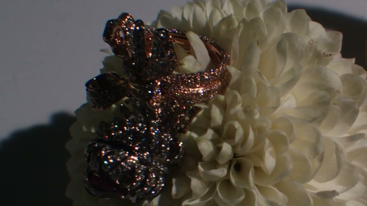 Special Dior Bijou