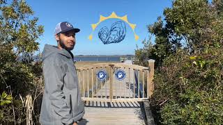 Day with Ray: Oyster Life Cycle