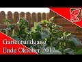 Oktober/November Gartenrundgang 2017